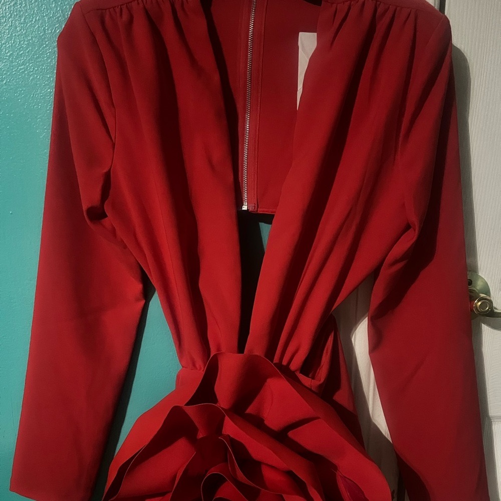 Bnwt Red Rose Long Sleeve Cutout Mini Dress